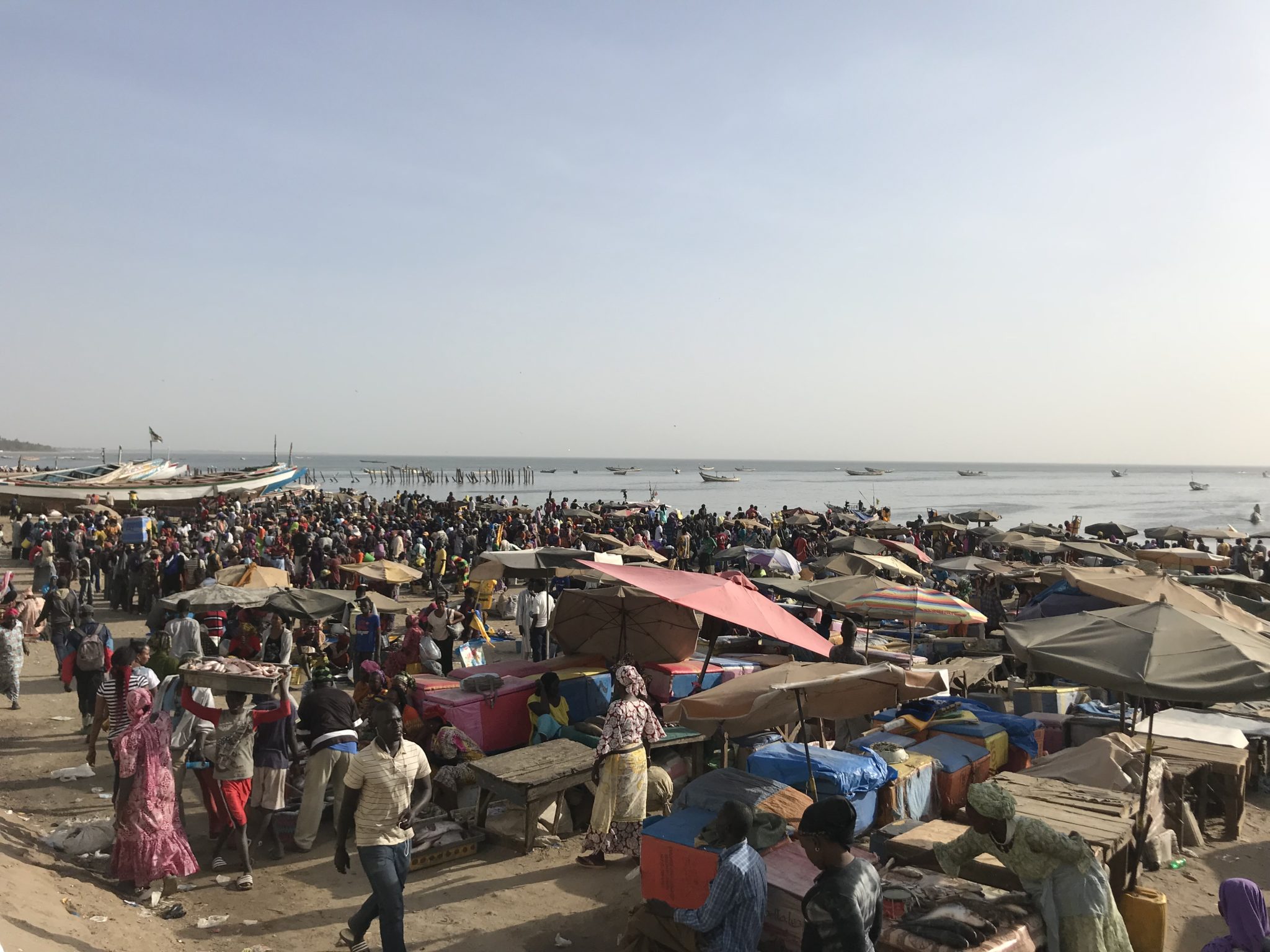 L'arrivée des pêcheurs au Sénégal