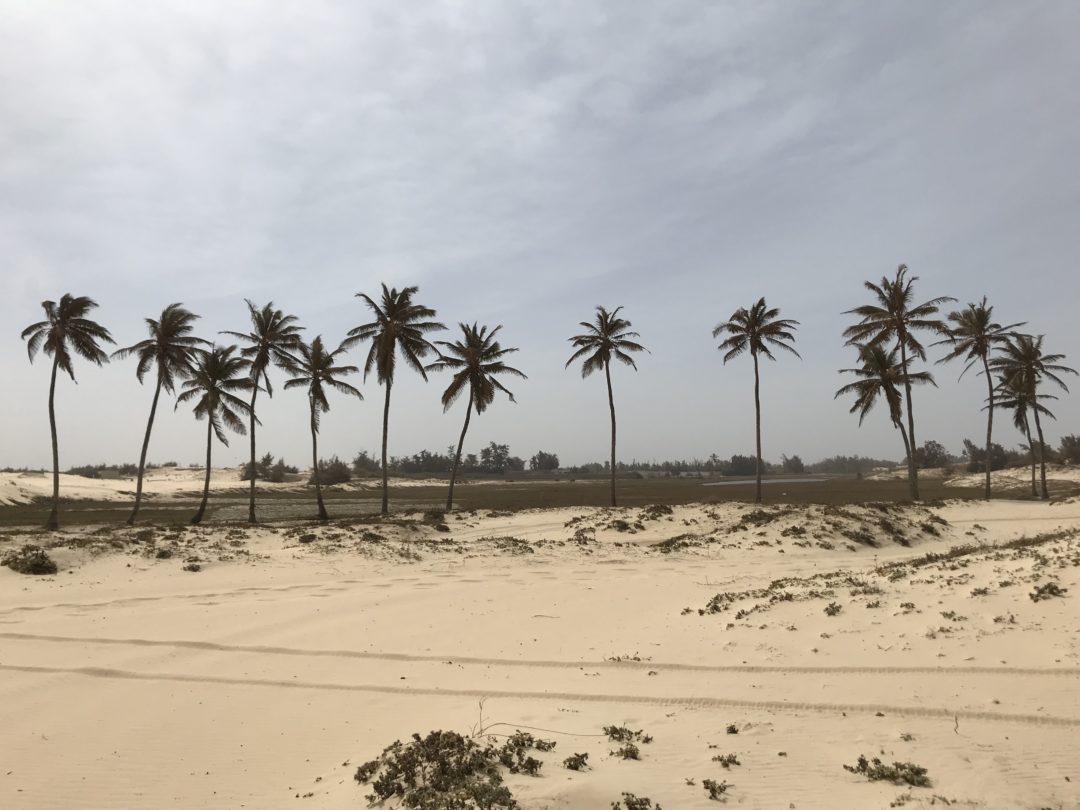 que-voir-que-faire-senegal