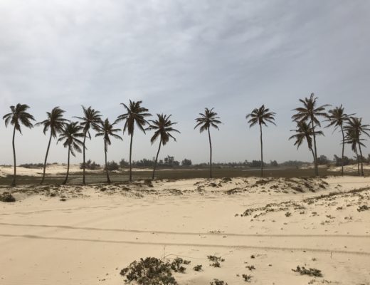 que-voir-que-faire-senegal