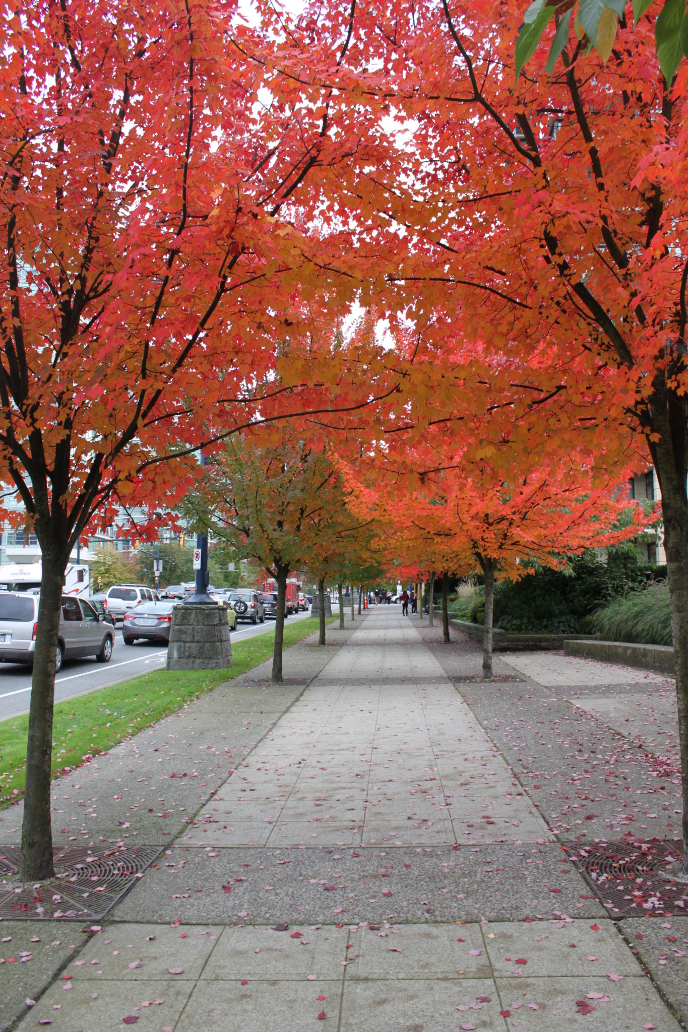 downtown-vancouver-canada