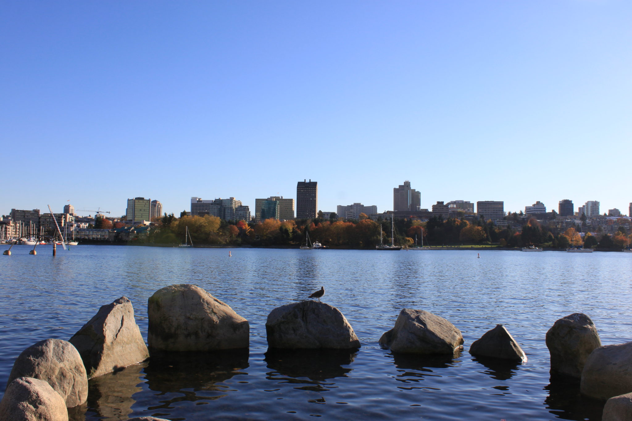 false-creek-vancouver