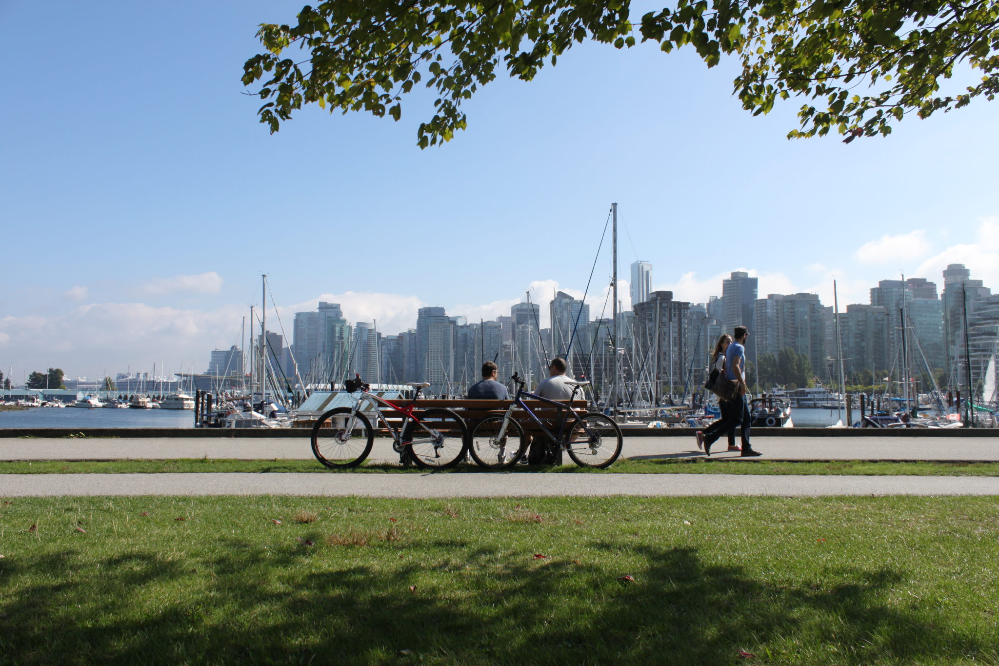 balade-stanley-park-vancouver-canada