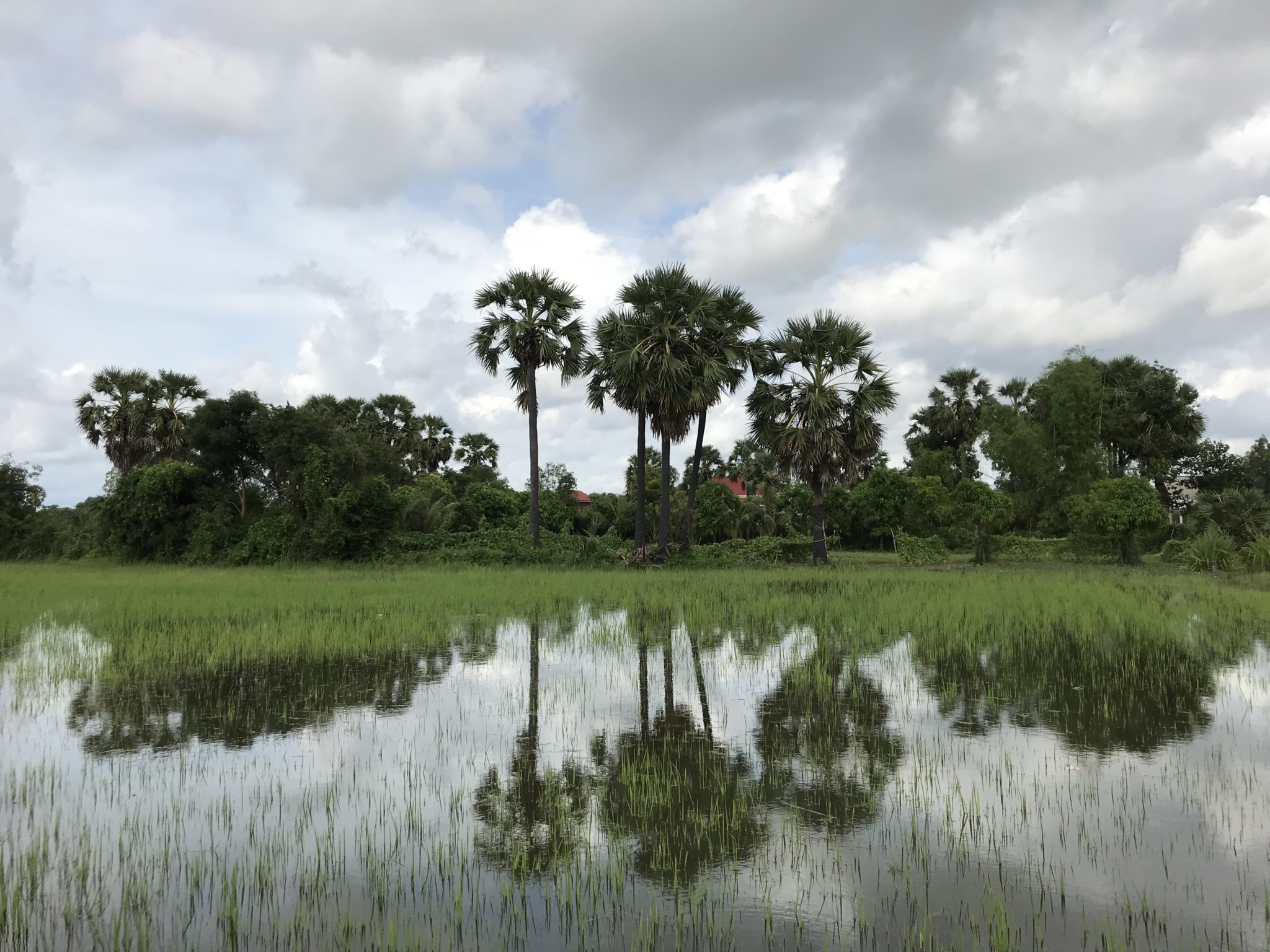 que-faire-cambodge-siem-reap