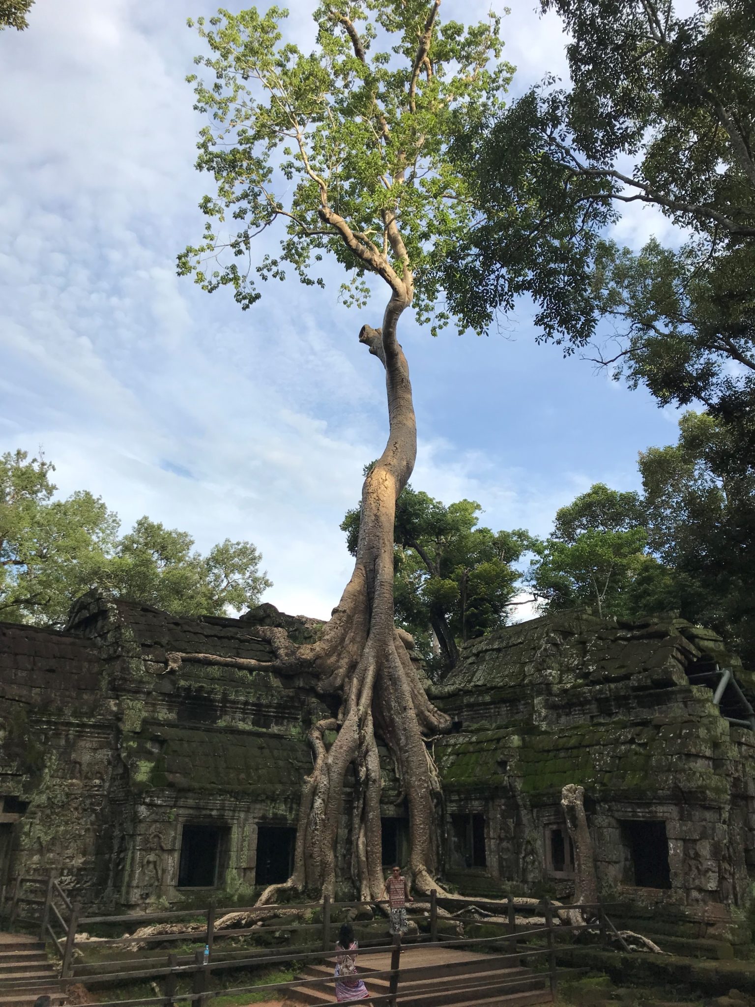 que-faire-angkor-siem-reap