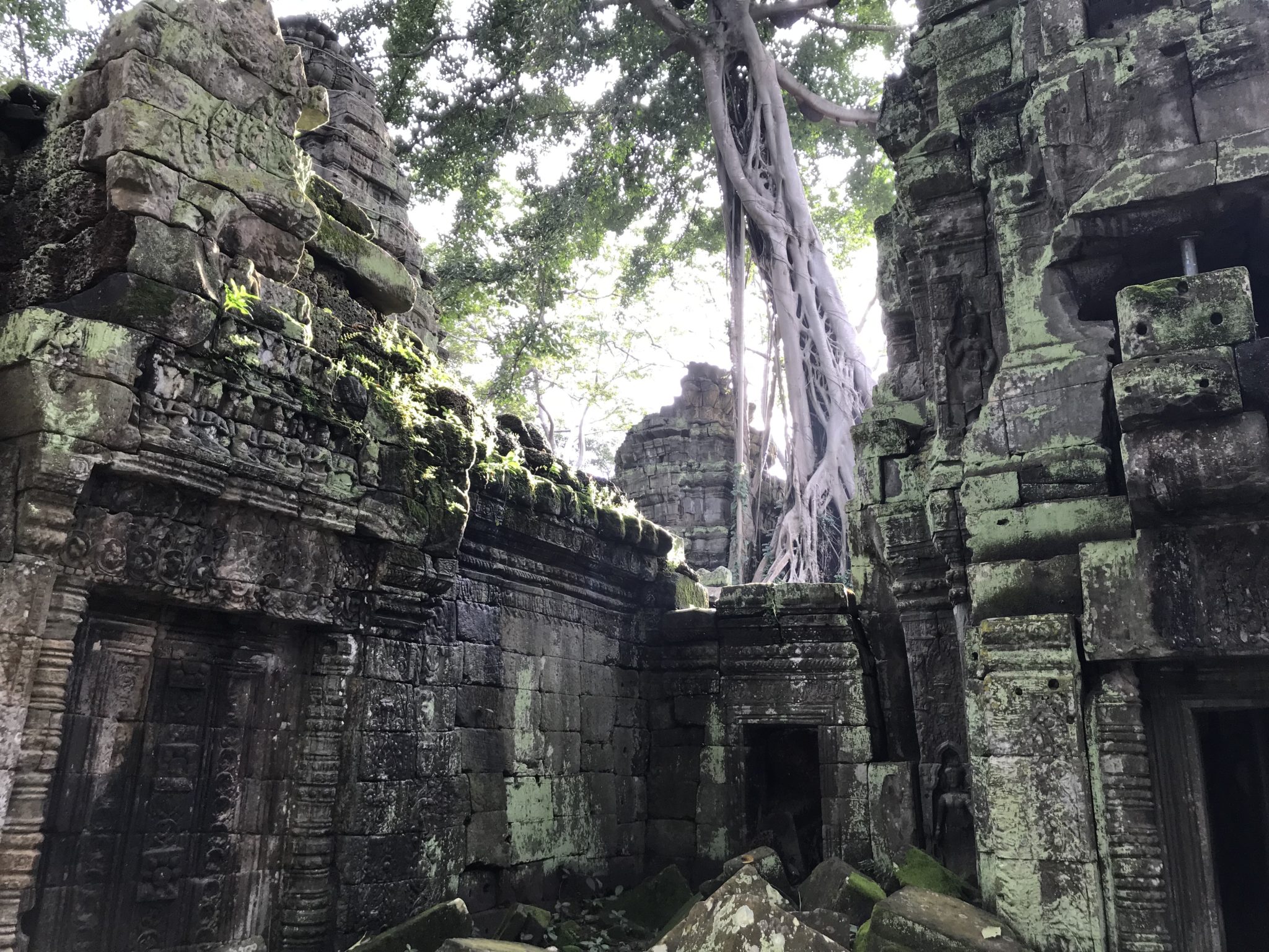 activites-que-faire-siem-reap-cambodge